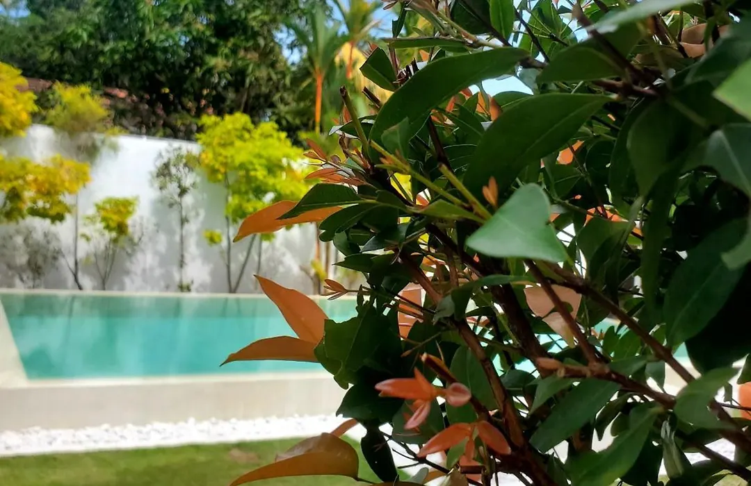 Villa Emanuel By Unrushed-1